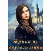 Постер книги Жрица из другого мира