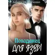 Постер книги Попаданец для язвы