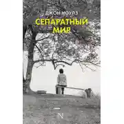 Постер книги Сепаратный мир