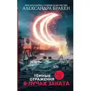 Постер книги В лучах заката