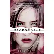 Постер книги Расколотая
