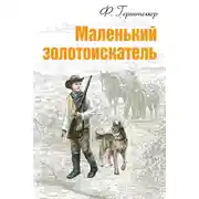 Постер книги Маленький золотоискатель