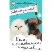Постер книги Кто полковника подставил