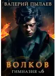 Валерий Пылаев - Волков. Гимназия №6
