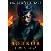 Постер книги Волков. Гимназия №6
