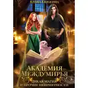 Постер книги Академия Междумирья. Дикая магия и прочие неприятности