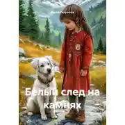 Постер книги Белый след на камнях