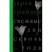 Постер книги Снежные дни сквозь года