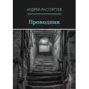 Постер книги Проводник