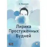 Постер книги Лирика Простуженных Будней