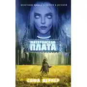 Постер книги Материнская плата