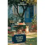 Постер книги Загадка тихого озера