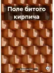 Владислав Март - Поле битого кирпича