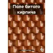 Постер книги Поле битого кирпича