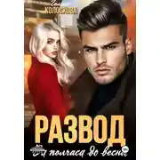 Постер книги Развод. За полчаса до весны