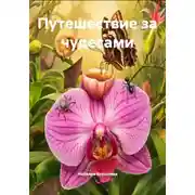 Постер книги Путешествие за чудесами