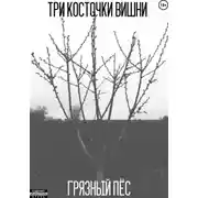 Постер книги Три косточки вишни