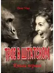 Deni Vrai - Трое в штатском. Книга первая