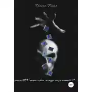 Постер книги Вальгард