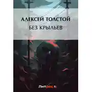 Постер книги Без крыльев