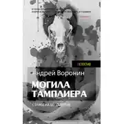 Постер книги Слепой. Могила тамплиера