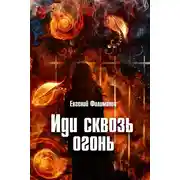 Постер книги Иди сквозь огонь