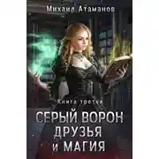 Постер книги Серый Ворон. Книга 3. Друзья и магия