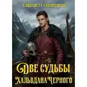 Постер книги Две судьбы Хальвдана Черного