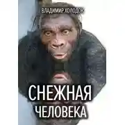 Постер книги Снежная человека