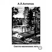 Постер книги Светло-малиновое лето