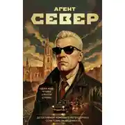 Постер книги Агент Север