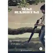 Постер книги Мы идиоты