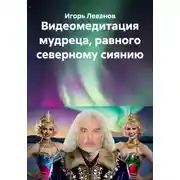 Постер книги Видеомедитация мудреца, равного северному сиянию