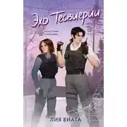 Постер книги Эхо Тесвиерии
