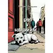 Постер книги Брат я больший или