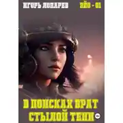 Постер книги В поисках врат Стылой Тени