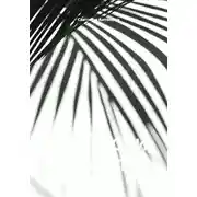 Постер книги ВИНА, СОКИ, КОМПОТЫ