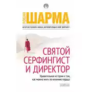 Постер книги Святой, Серфингист и Директор