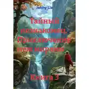 Постер книги Тайный незнакомец.  Приключение  меж мирами                                                                              Книга 3