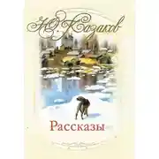 Постер книги Рассказы