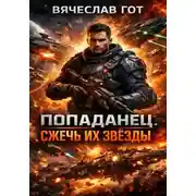 Постер книги Попаданец. Сжечь их звёзды