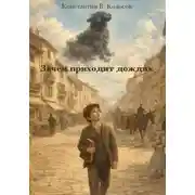 Постер книги Зачем приходит дождик