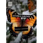 Постер книги Зимовка бабочек. Рассказы с изюминкой