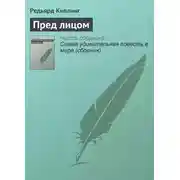 Постер книги Пред лицом