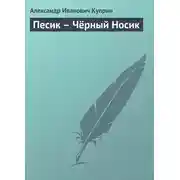 Постер книги Песик – Чёрный Носик