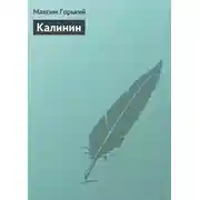 Постер книги Калинин