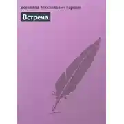 Постер книги Встреча