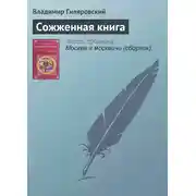 Постер книги Сожженная книга