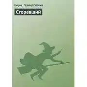 Постер книги Сгоревший