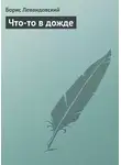 Борис Левандовский - Что-то в дожде